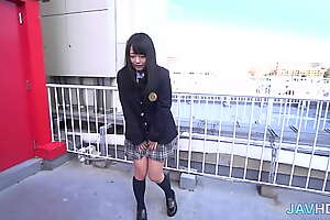 Japanese School Girls Brusque Skirts Vol 22