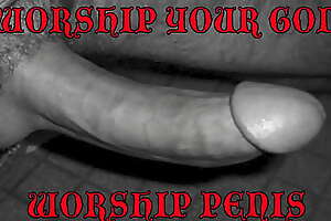Cock Worship - Be seized Your Knees