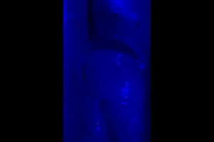 Gummy Cami Blue Shower