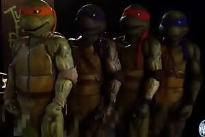 Ten Inch One-off Ninja Turtles - Criticize